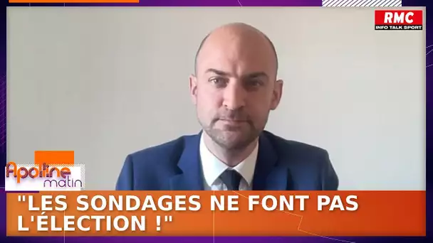 Européennes : "Les sondages ne font pas l'élection", assure Jean-Noël Barrot