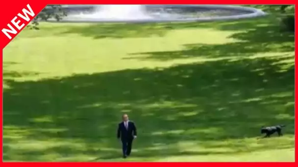 ✅  François Hollande tout seul dans l’herbe : ce cliché volé… par son photographe officiel