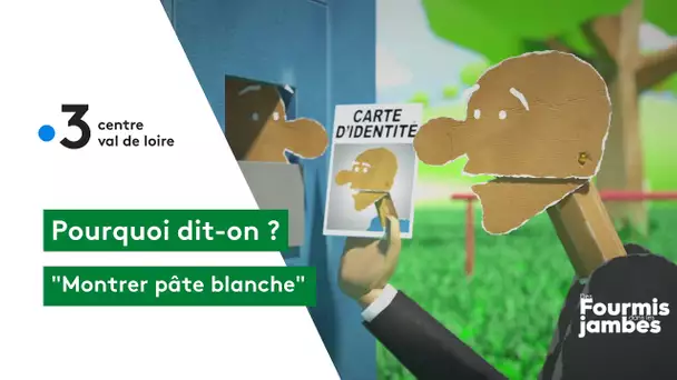 Pourquoi dit-on : montrer patte blanche ?