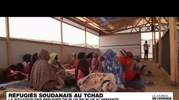 Au Tchad, la situation des réfugiés soudanais de plus en plus alarmante • FRANCE 24