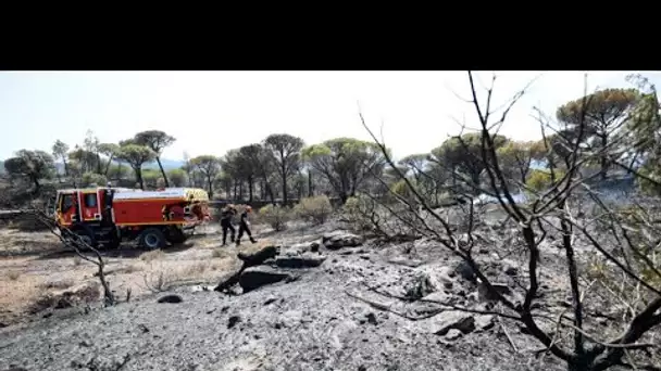 Incendies en France : des catastrophes écologiques