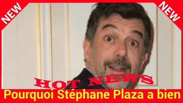 Pourquoi Stéphane Plaza a bien failli finir au poste de police