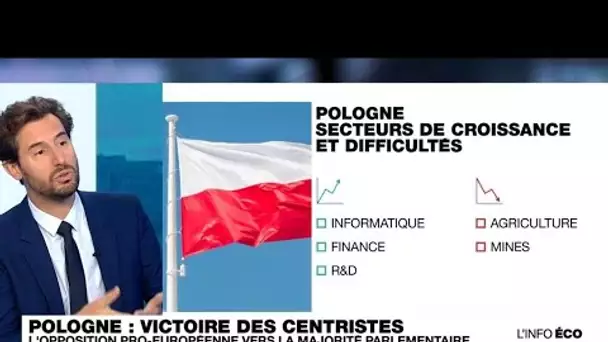 Législatives en Pologne : les défis économiques d'une coalition pro-européenne • FRANCE 24