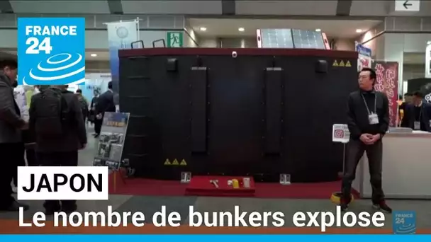 Le nombre de bunkers explose au Japon • FRANCE 24