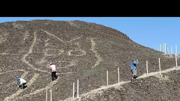 Un nouveau géoglyphe en forme de félin découvert à Nazca au Pérou