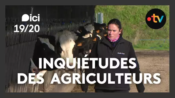 Les jeunes agriculteurs face à l'instabilité politique