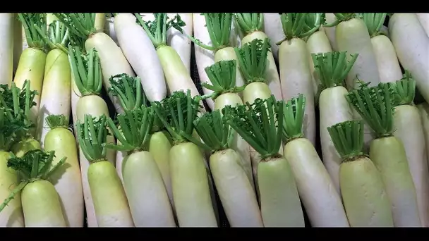 Notre recette pour faire des pickles de légumes-racines