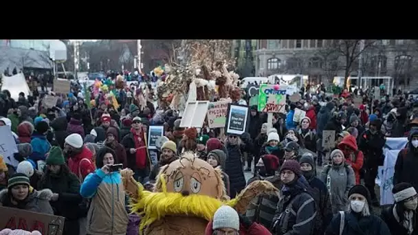 Biodiversité : manifestation colorée à Montréal en marge de la COP15