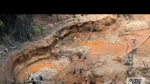 Guyane : la hausse du cours de l'or favorise l'orpaillage illégal • FRANCE 24