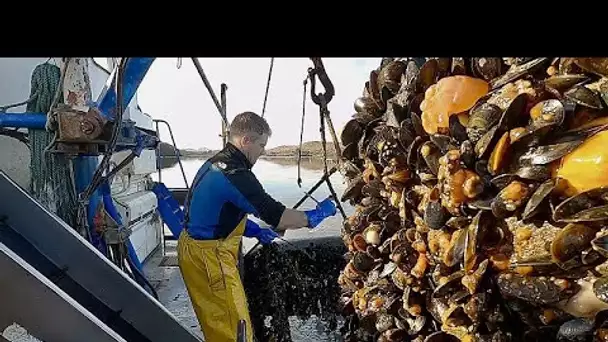 L'aquaculture irlandaise mise sur la vente au détail haut de gamme en ces temps de Covid-19