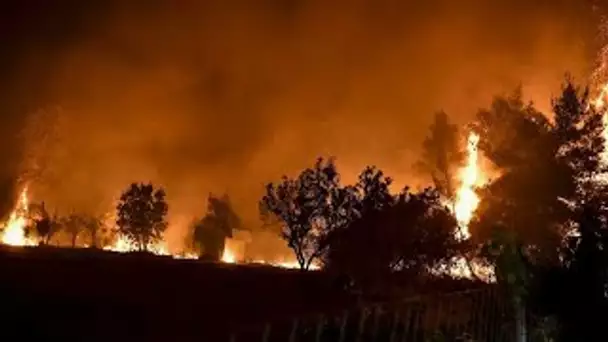 Grèce : les pompiers bataillent contre des incendies aux portes d'Athènes • FRANCE 24