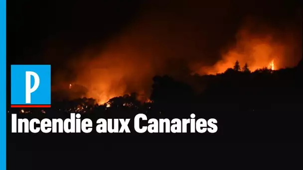 Les îles Canaries ravagées par un incendie