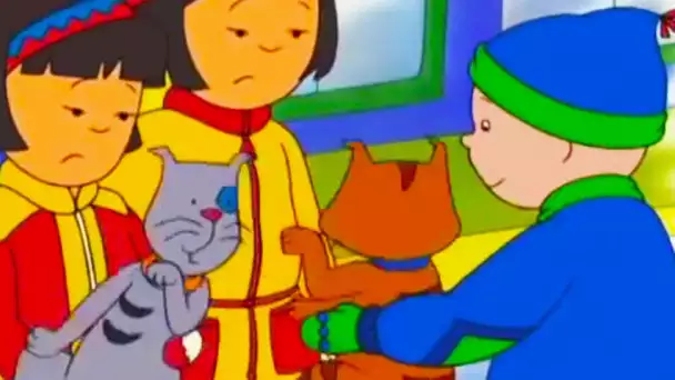 Caillou en français - Caillou et le Combat de Chat d&#039;hiver | conte pour enfant | dessin anime