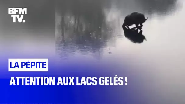 Attention aux lacs gelés !