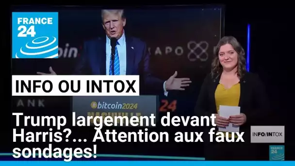 Trump largement en tête ? Attention à ces faux sondages issus de sites de paris en ligne !