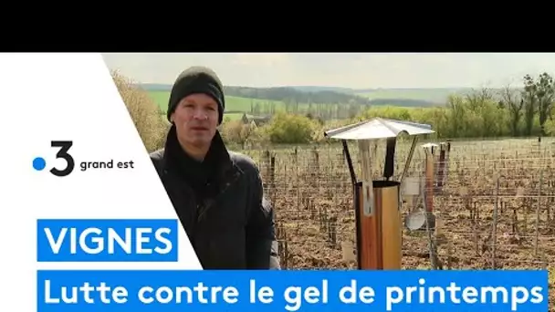 Marne : des chaufferettes pour lutter contre le gel de printemps dans le vignoble Louis Roederer