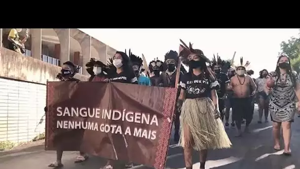 Brésil : les indigènes manifestent pour la défense de leurs terres