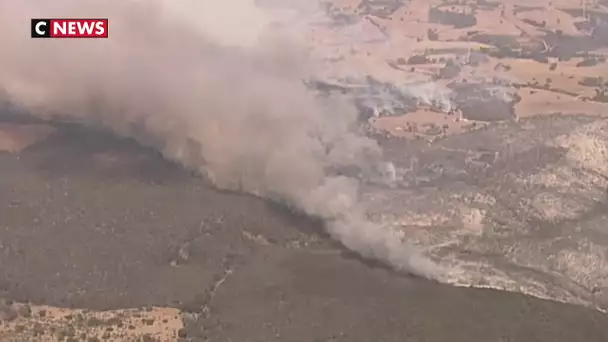 Au moins un milliard d'animaux sont déjà morts dans les incendies en Australie