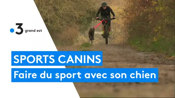 Découverte du canicross et du cani-VTT dans la Marne