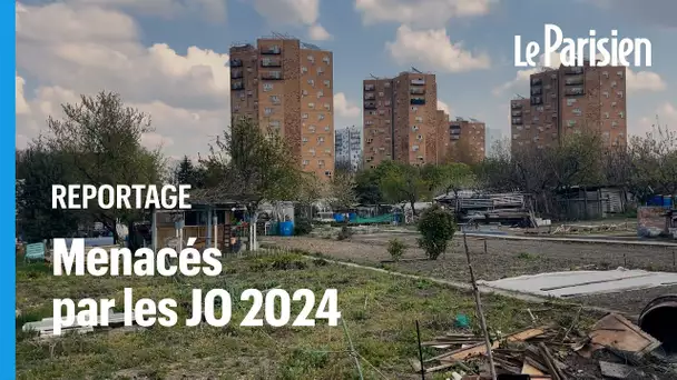 «On veut des potirons, pas du béton», scandent les défenseurs des jardins ouvriers d’Aubervilliers