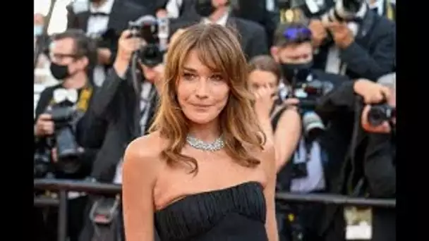 Carla Bruni : L’ex Première dame en crop top sur Instagram !