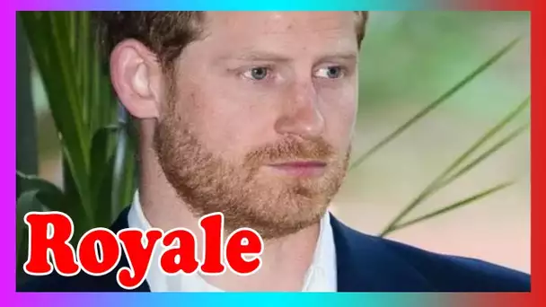 Le ''tournant'' de la vie du prince Harry mis à nu: ''Mieux que quiconque''