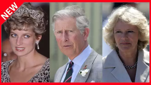 ✅  Pourquoi la lune de miel de Charles et Diana a viré au cauchemar à cause de Camilla