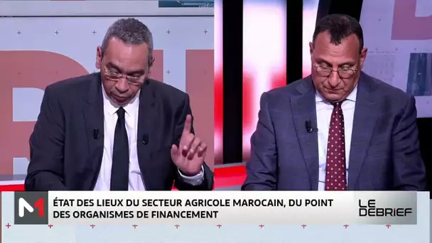 Focus sur le secteur agricole au Maroc