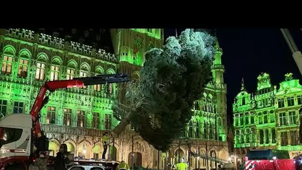 No Comment. Un arbre de Noël de 20 mètres de haut installé sur la Grand-Place de Bruxelles.