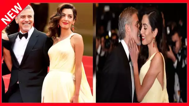 ✅  Amal et George Clooney : leur geste tellement généreux pour le Liban