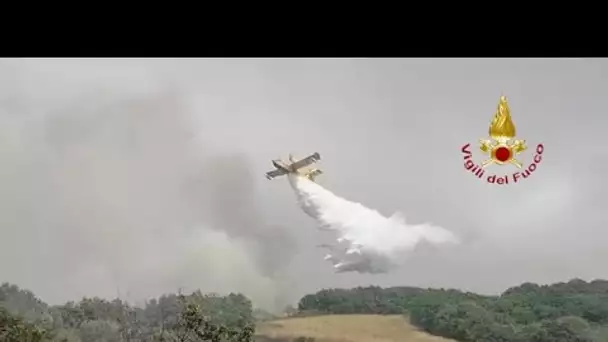 Un important feu de forêt frappe la Sardaigne