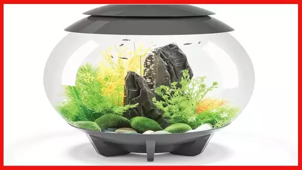 biOrb Halo 30 Aquarium with MCR Lighting - 8 Gallon, Grey