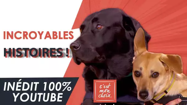 Inédit 100% Youtube - Enfants : leur incroyable histoire avec un animal - C'est mon choix