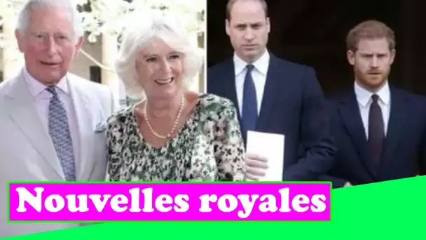 Camilla agit comme "tampon" entre Charles, William et Harry: "Les garçons seront des garçons affreux