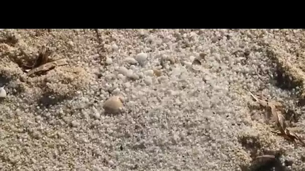 600 kg de sable restitués à une plage de Sardaigne