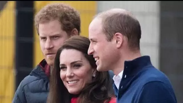 Le prince Harry pas si "coupé financièrement" : William et Kate lui font un énorme...