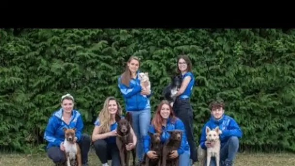 Cani-gourmand la marque de friandises pour chiens développe des activités dédiées...