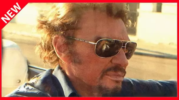 ✅  Johnny Hallyday flambeur : la vérité sur son train de vie