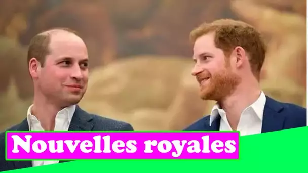 William et Harry s'unissent pour ne pas laisser «l'histoire se répéter» avec les enfants royaux