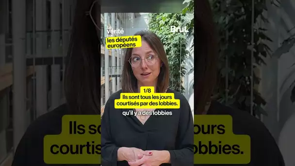 La vérité sur les députés européens par Saskia Bricmont, députée européenne belge (1/8)