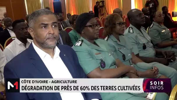 Côte d'Ivoire : dégradation de près de 60% des terres cultivées