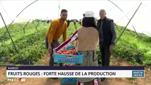 Fruits rouges : forte hausse de la production