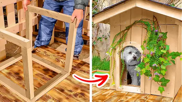 Maison DIY pour chien réalisée par le maître