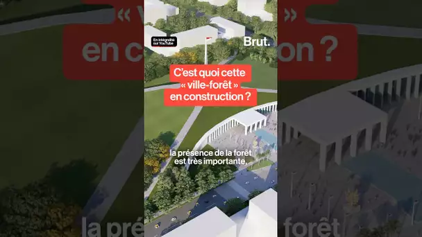 C'est quoi cette "ville-forêt" en construction ?