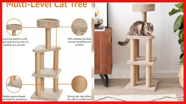 Amazon Basics Cat Activity Tree with Scratching Posts