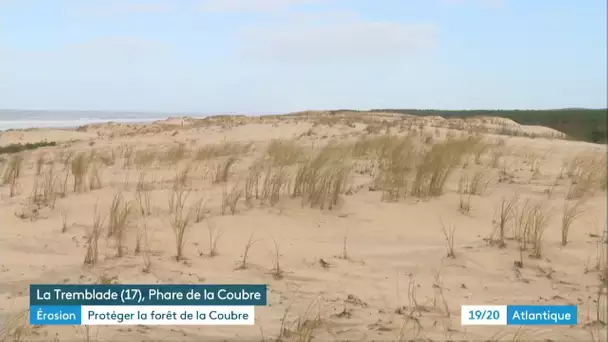 La Tremblade : l'ONF protège la forêt de La Coubre contre l'érosion