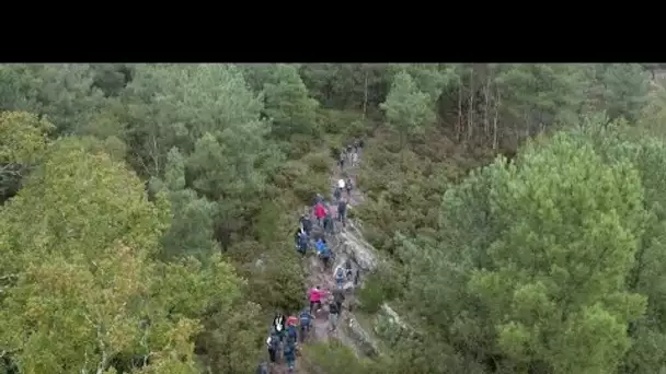 Brocéliande, la forêt enchantée • FRANCE 24