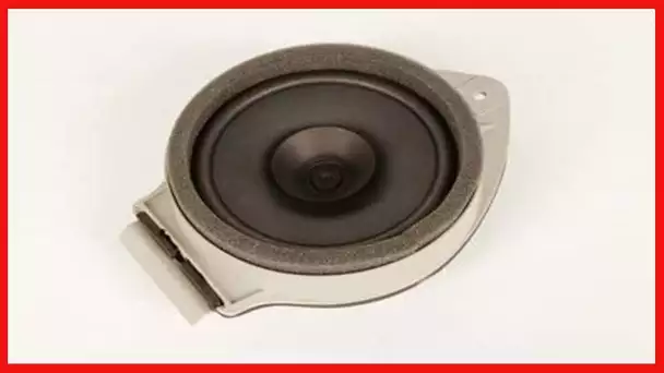 GM Genuine Parts 25926346 Rear Side Door Speaker