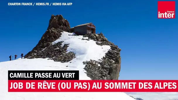 Un job de rêve au sommet des alpes et autres bonnes nouvelles de la semaines