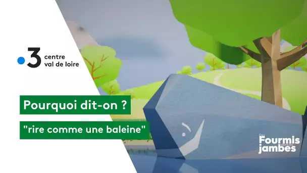 Pourquoi dit-on : rire comme une baleine !